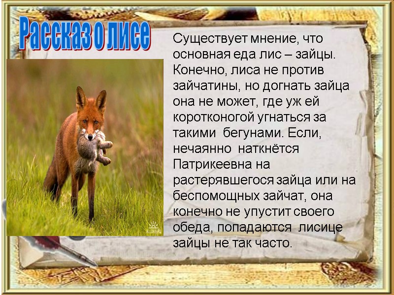 Существует мнение, что основная еда лис – зайцы. Конечно, лиса не против зайчатины, но